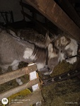 IMG_20251206_170424351.jpg