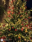 IMG_20251206_170946361.jpg