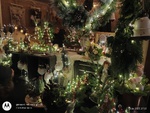 IMG_20251206_171248994_HDR.jpg